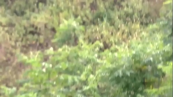 nam thanh ni&ecirc;n &Auml;&lsquo;&aacute;&raquo;&copy;ng gi&aacute;&raquo;&macr;a &Auml;&lsquo;&AElig;&deg;&aacute;&raquo;ng th&aacute;&raquo;&sect; d&acirc;m