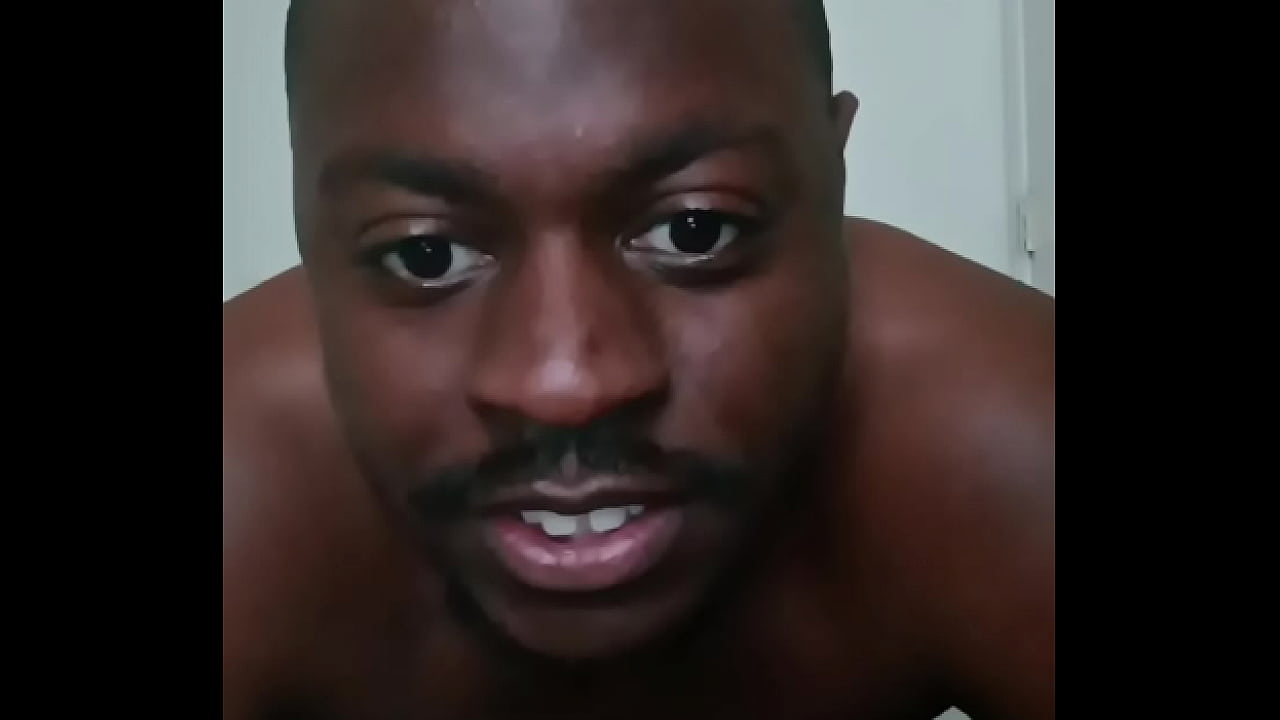 My dog stopped showing up and myself adding more heavy sounding voice effects to song I made with dog around once to give more heavy metal sound 1