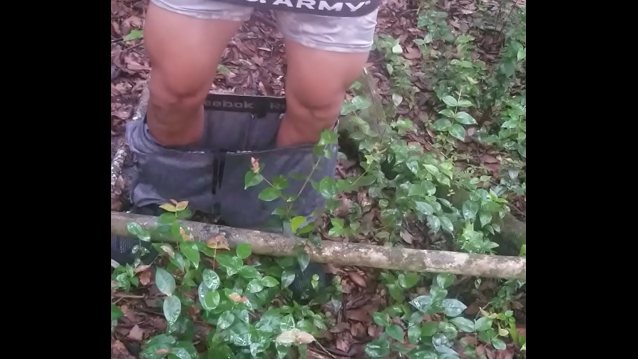 mucha leche envelopes bosque