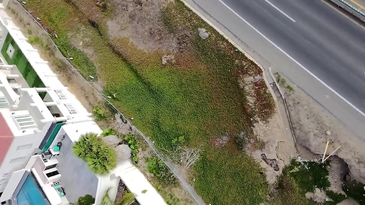 Mi amigo el "chismoso volador" me abandono