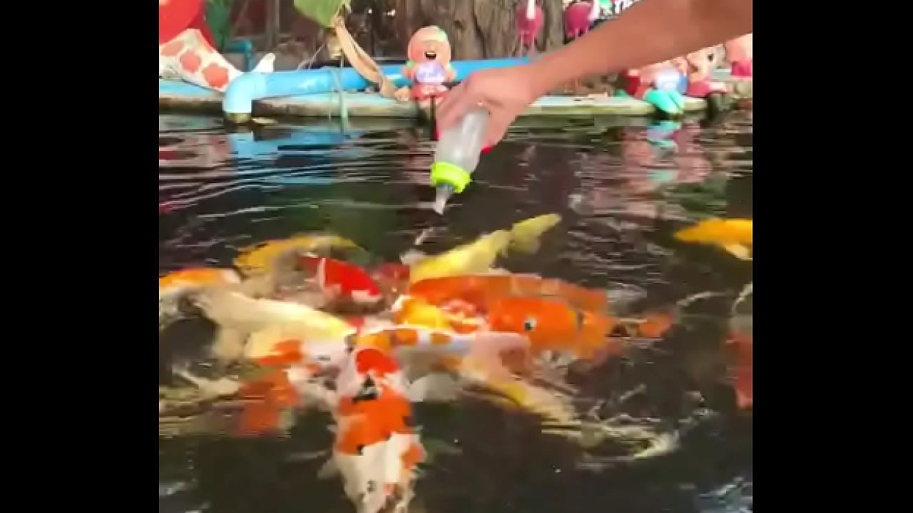 Only a few more days in Thailand-I&rsquo;ll be back next year!