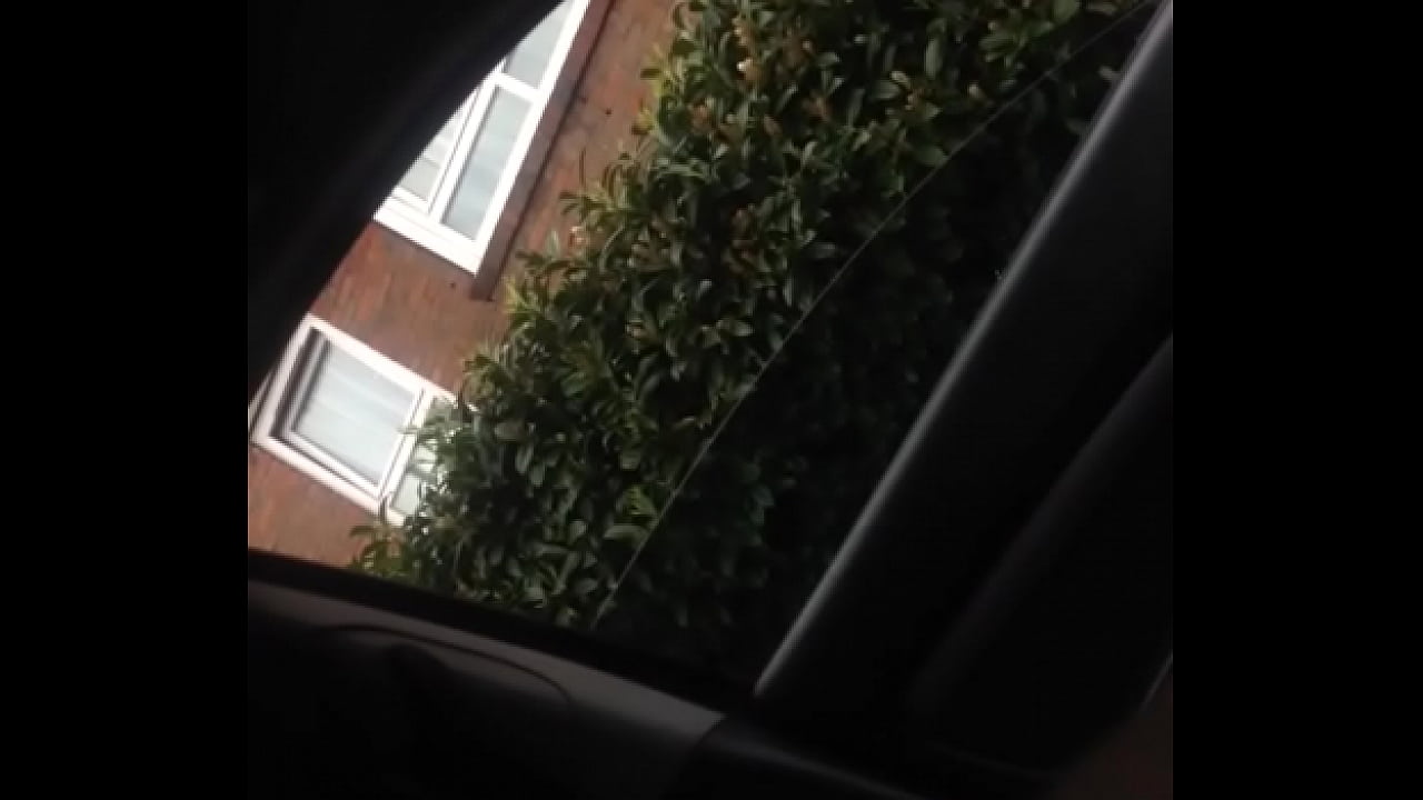 trim.497BA407-102C-4796-BB2A-C8B93E4F3137.MOV