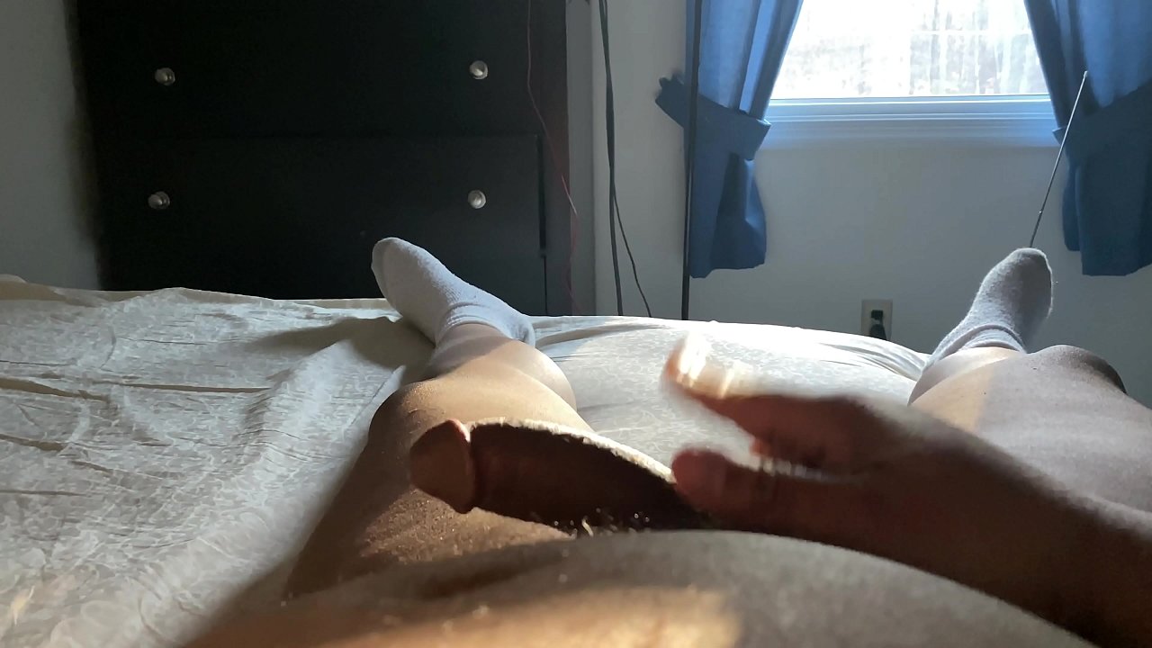 Trabajar desde casa puede ser DURO con la madera de la ma&ntilde;ana manteni&eacute;ndome en la cama. El bosque de la ma&ntilde;ana quiere que me quede y juegue en la cama.