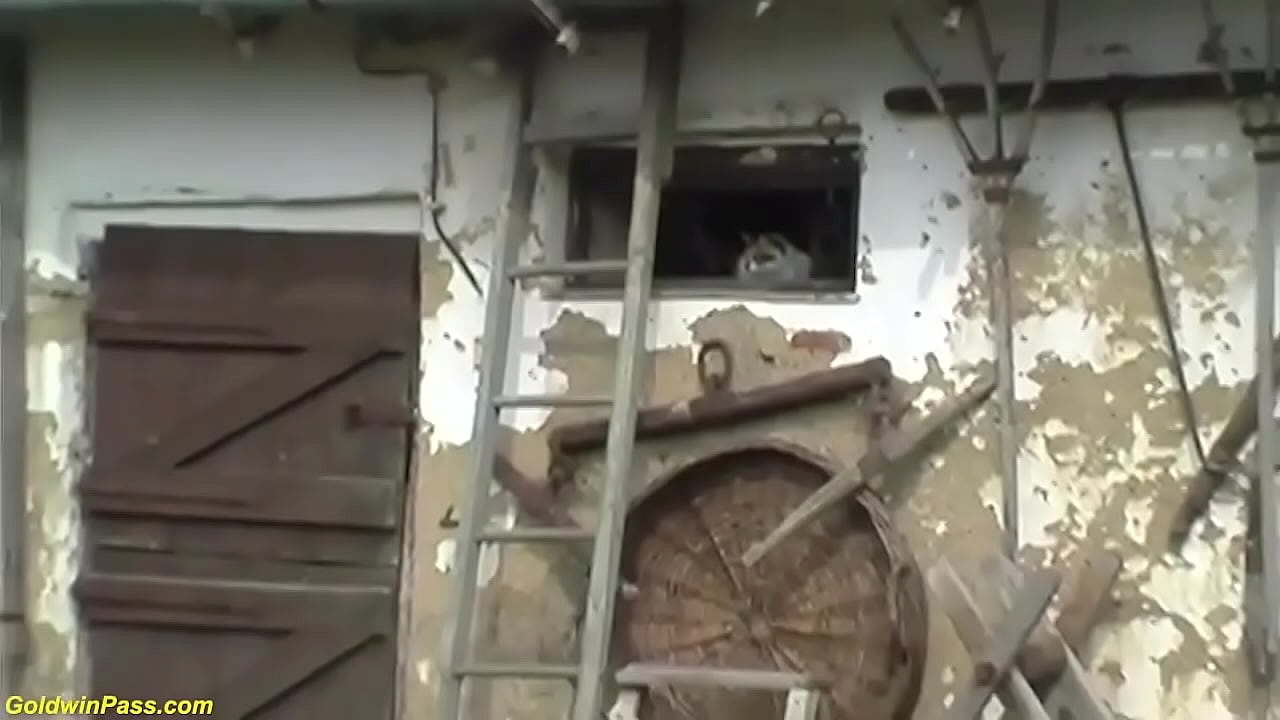 extreme ugly hairy bush farmer enjoys a wild outdoor big cock ride with her horny toyboy