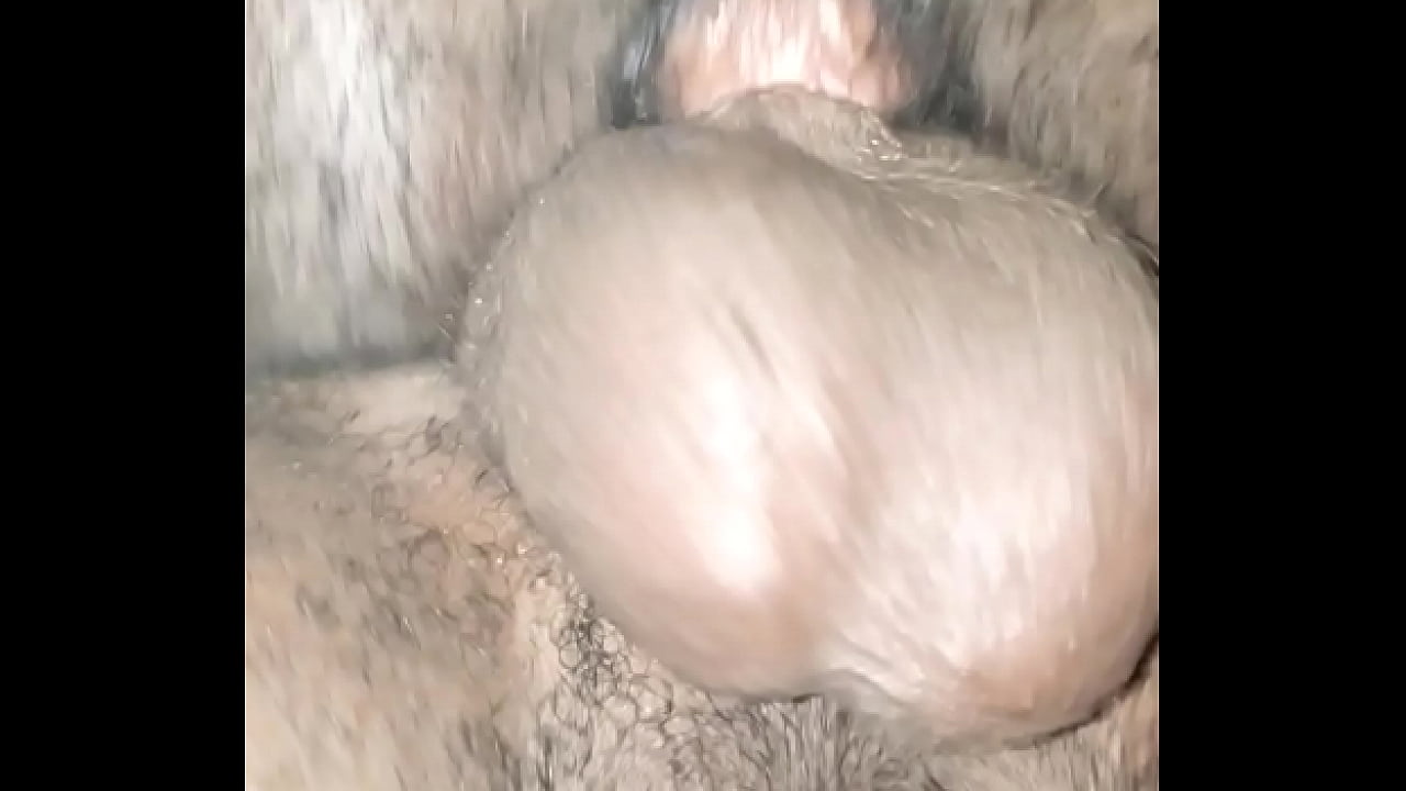 Hairy pussy