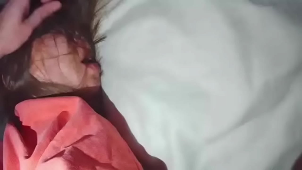 Настоящая неверная жена по очереди трахает друзей своего мужа.