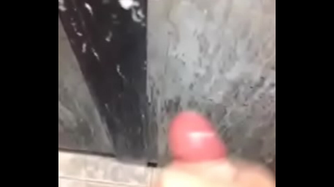 Gatinho gozando no s.