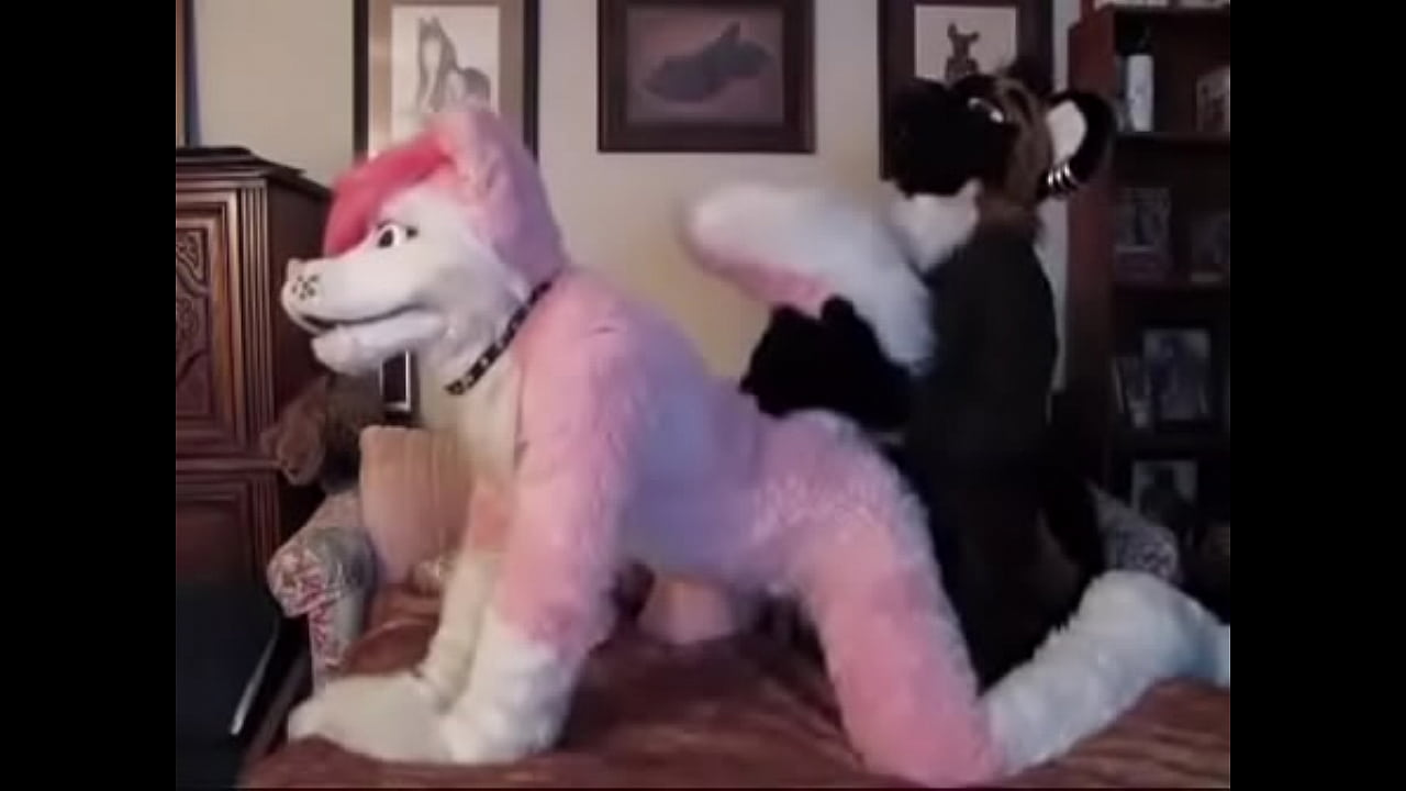 yiff video