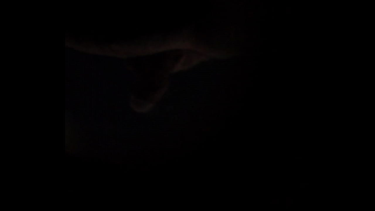 quay l&eacute;n vn sục cặc toilet