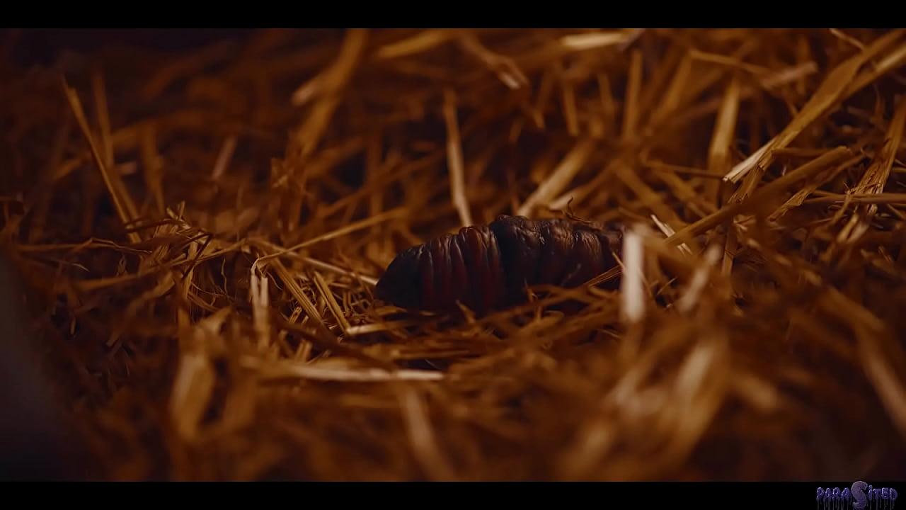 Hardcore Lesbian Action - Girls Getting Possessed by Alien Parasite and Craving Pussy Trailer