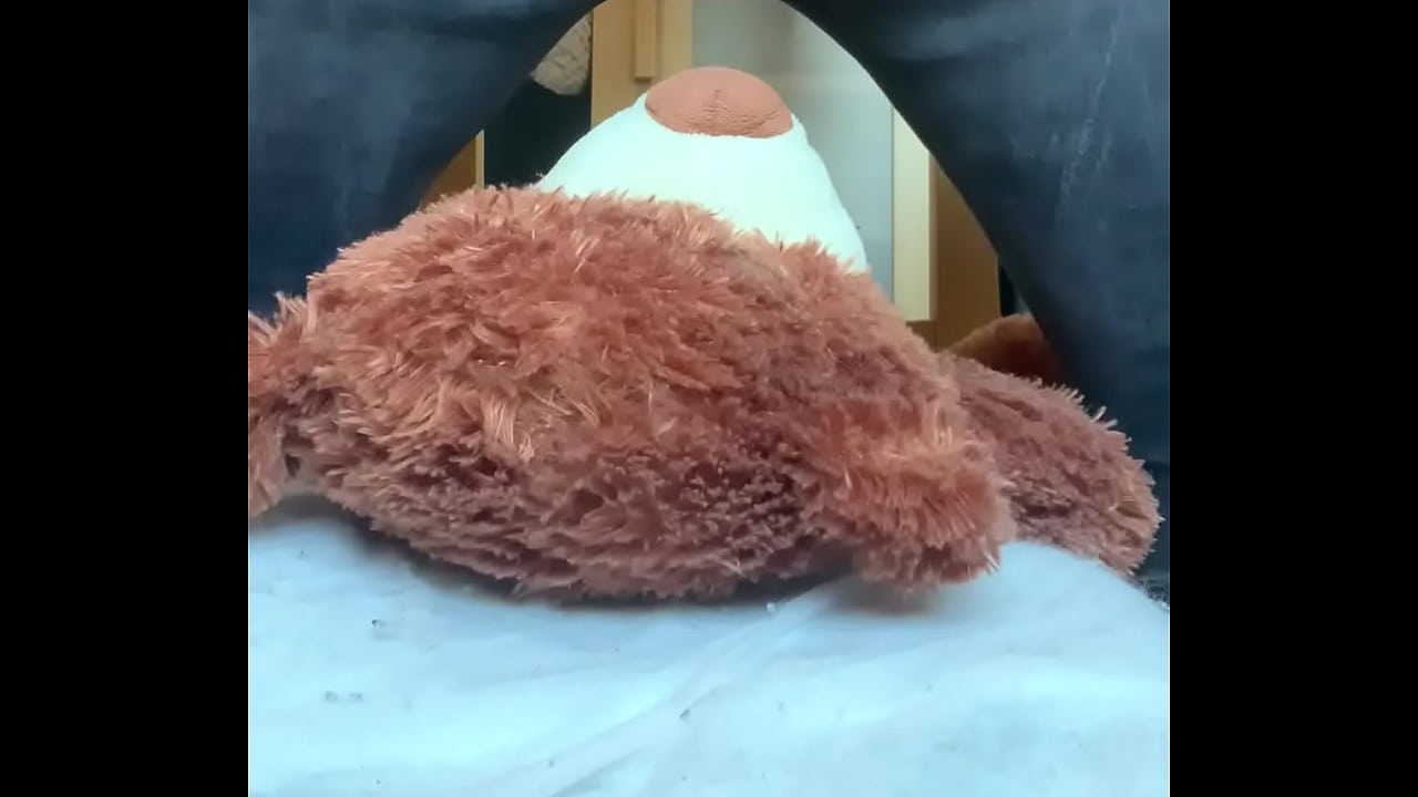 Mr bear gets squashed
