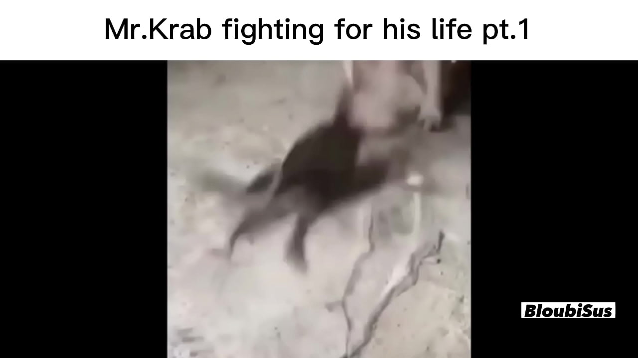Top 5 scare Mr.Krabs (SUS VIDEOS)