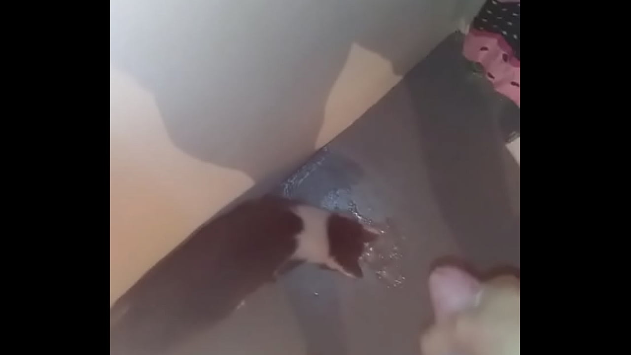 Me Jerking off my Big White Veiny Cock and Cumming my Huge Load