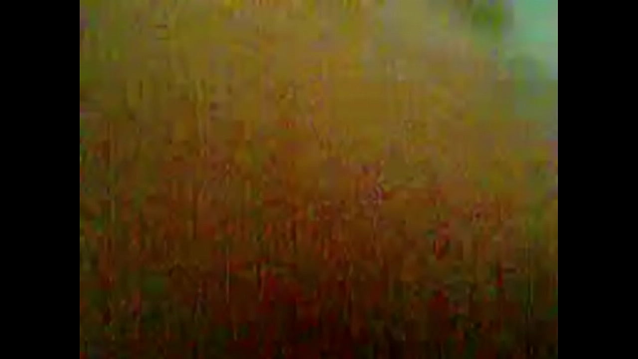 vo chong viet lam sin