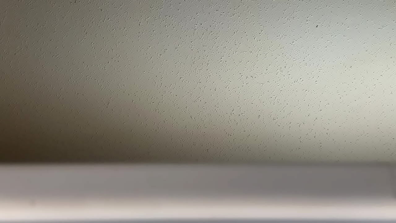 Hearing couple fuck from my window during the day