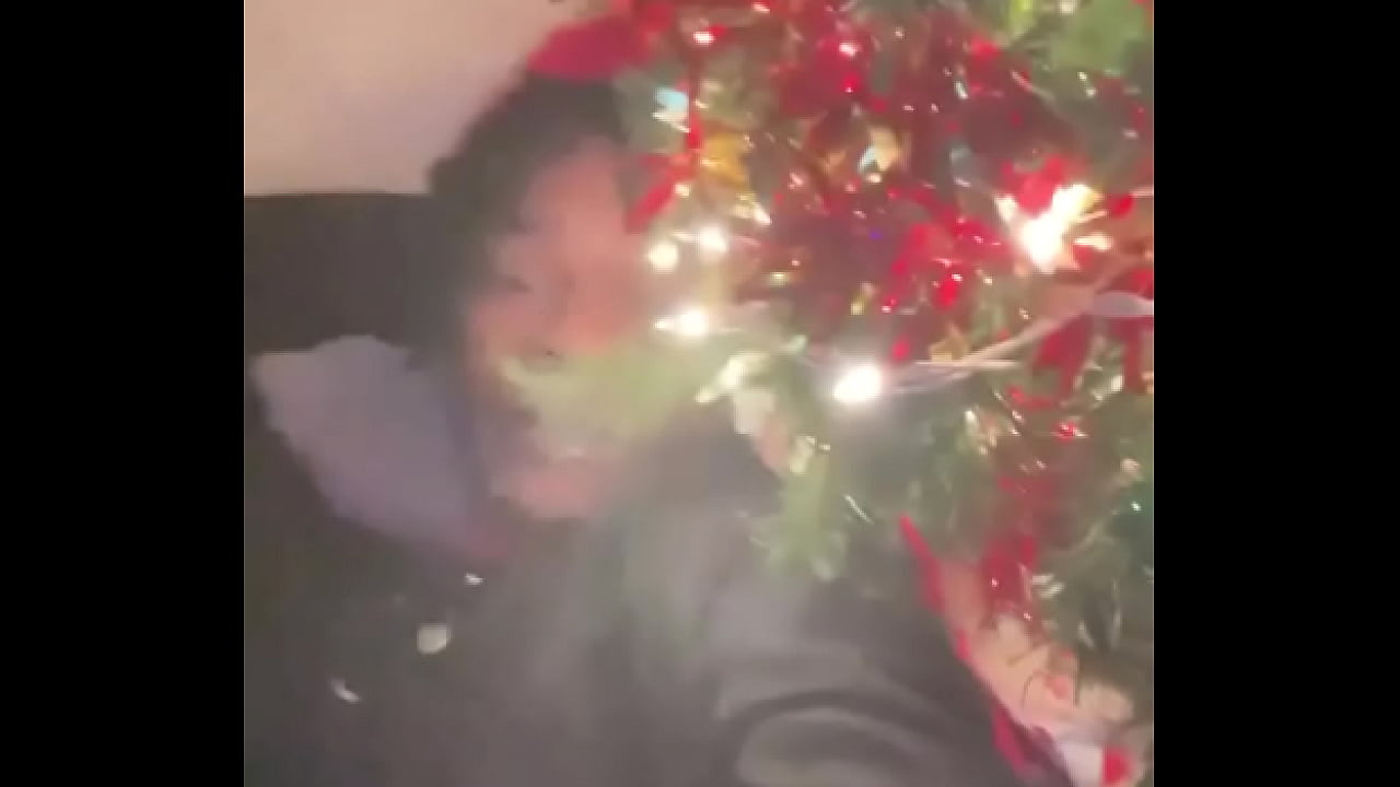 - Update #20 (2023-12-26T02:54:19.000Z)