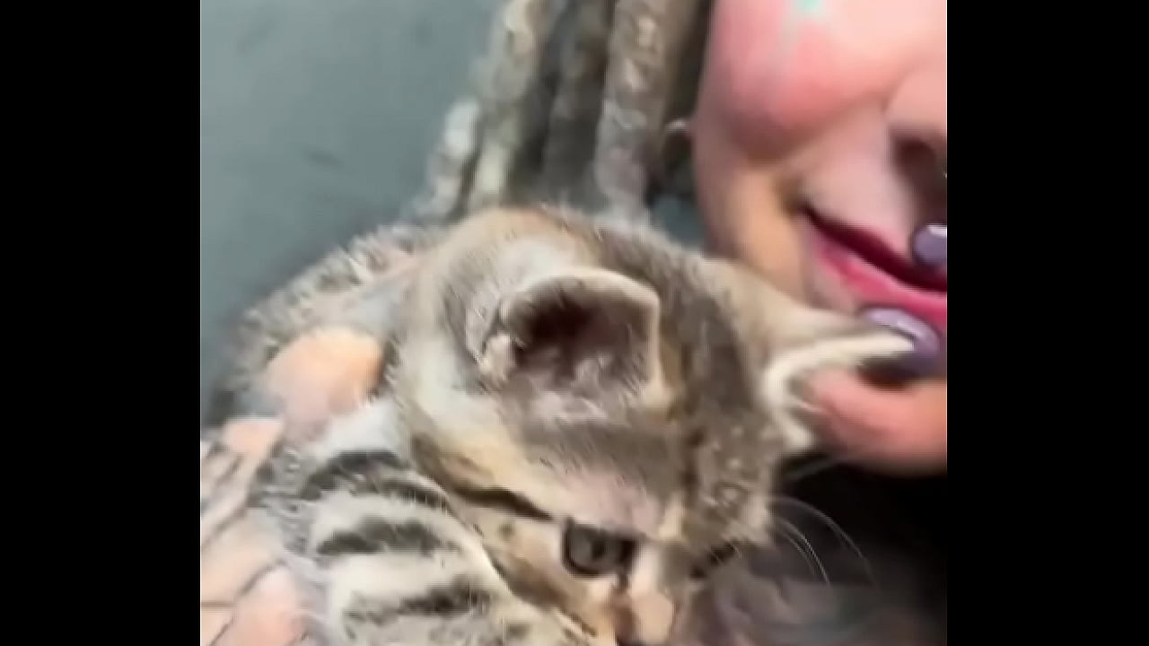 Adorable kittens always make everything better ?Which animal brings you the most comfort?#KittenLove #CuddleVibes ...