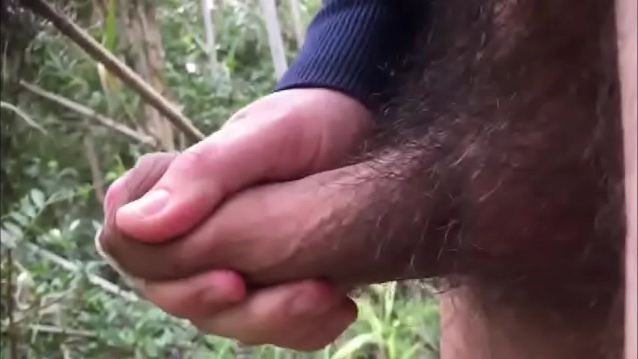 Portugu&ecirc;s na Cidade Universitaria. Lisboa