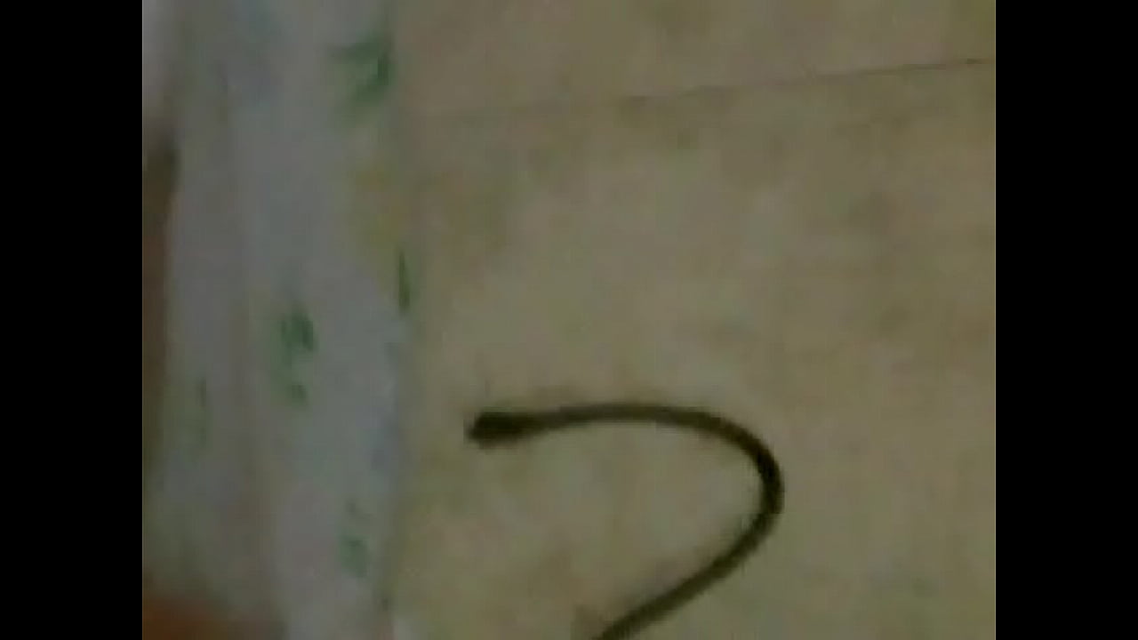 VID-20150727-00004.MP4