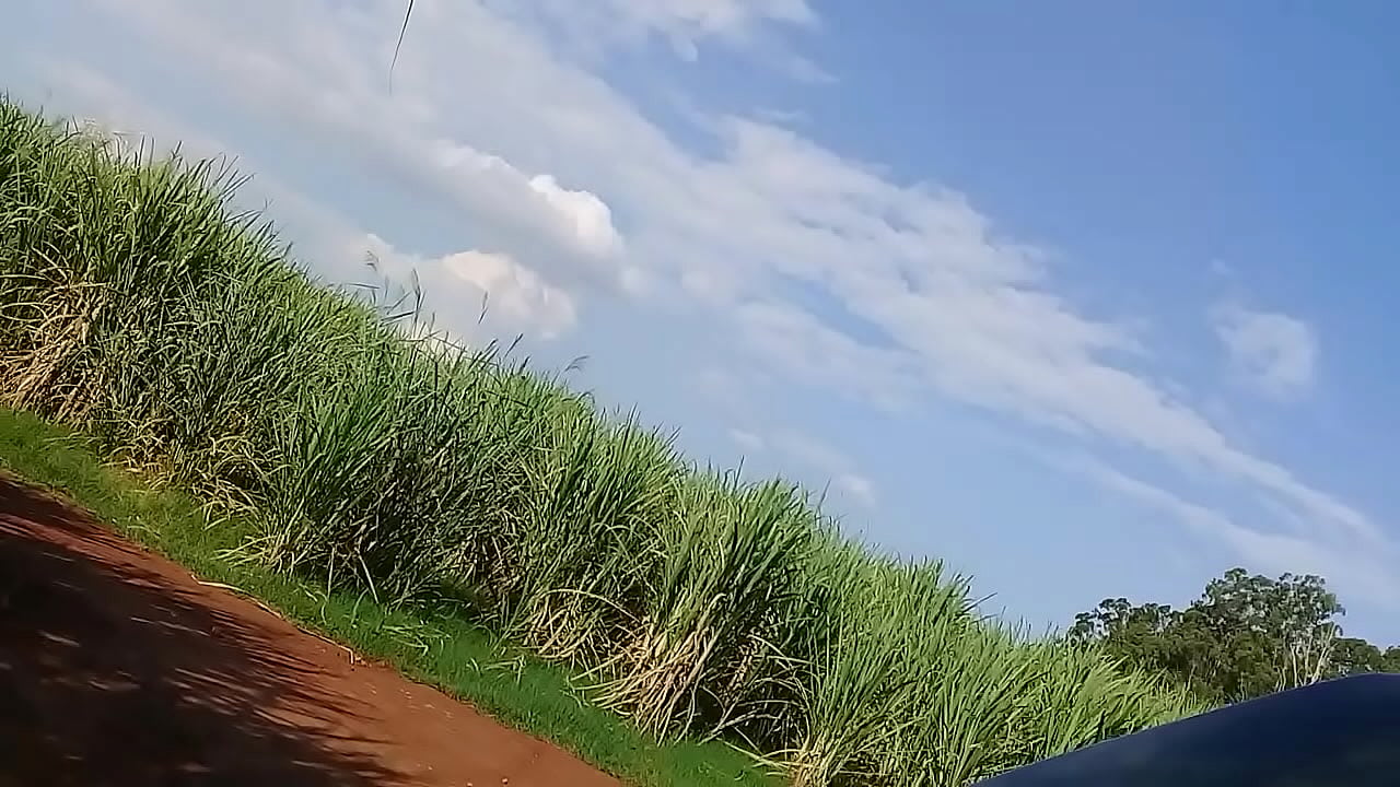 Pauzudo meteu no meu cuzinho