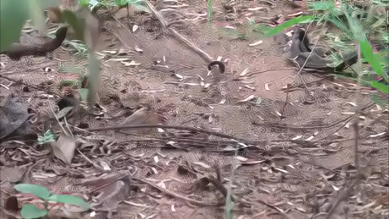 Kamala Aunty Phone lo Srungaram with Neighbour Telugu Phone Talk  Talk Telugu Mu low