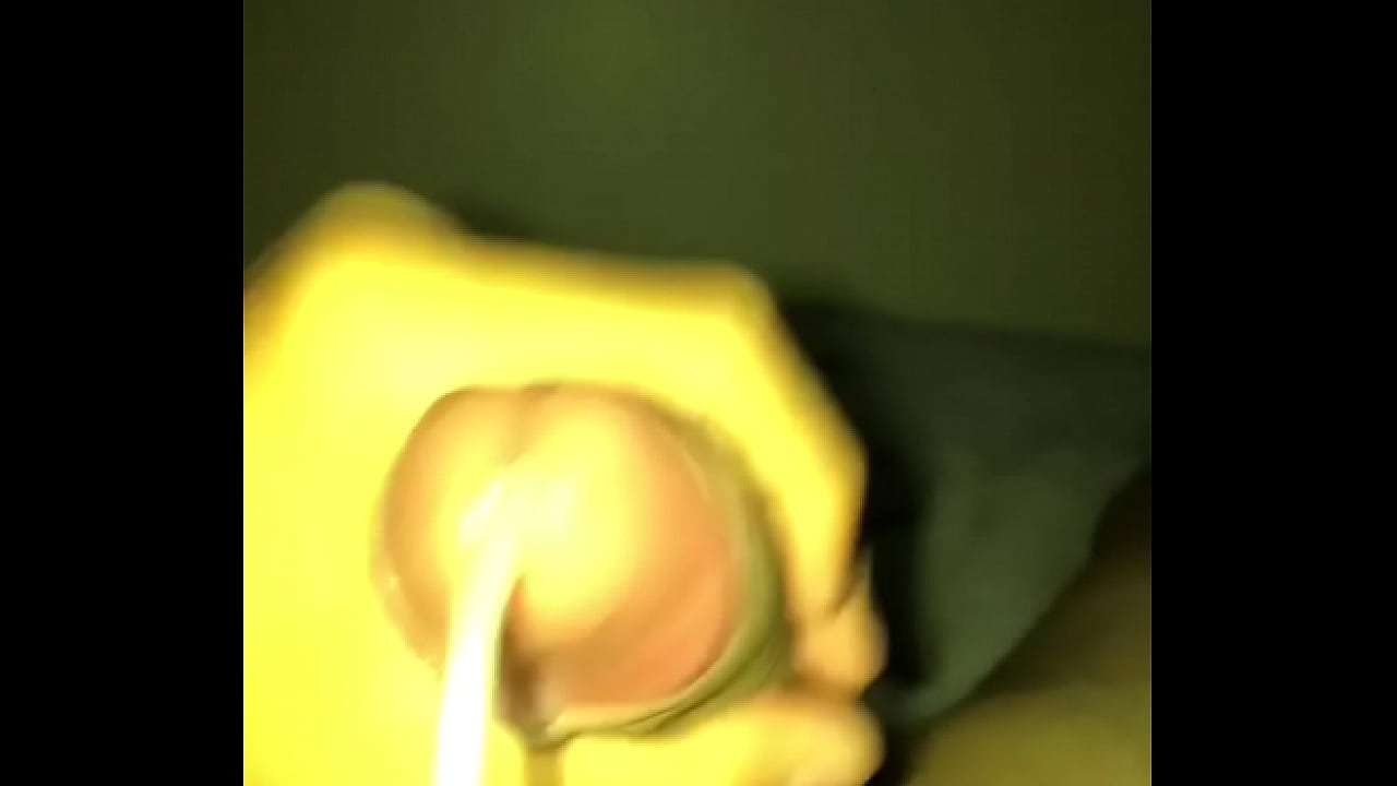 PingasaPeruana20cmConVaceada