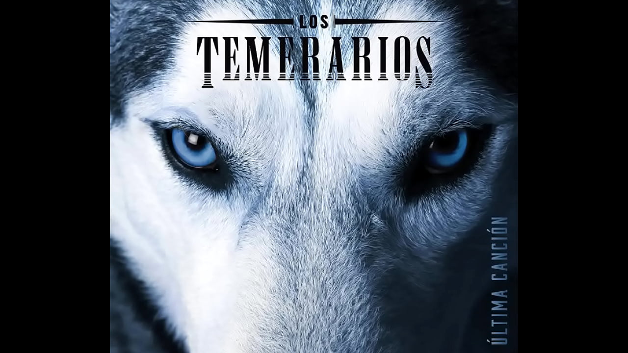 Tu &uacute;ltima canci&oacute;n