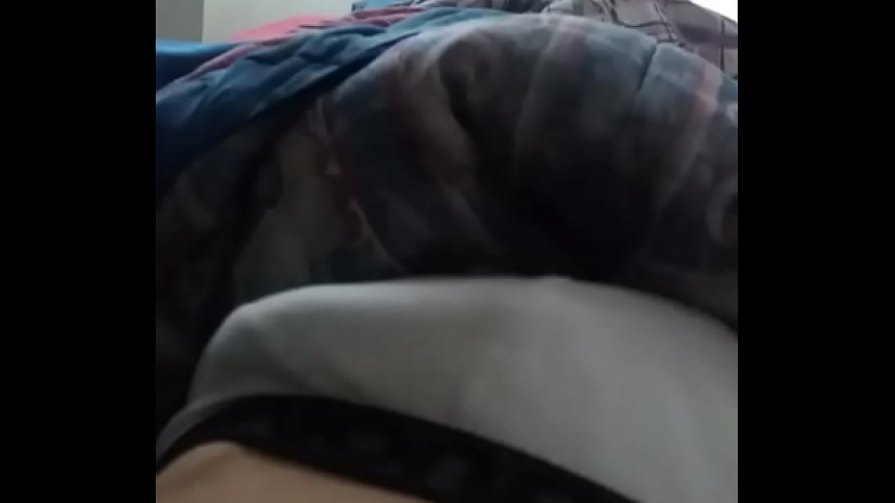 Pau solit&aacute;rio