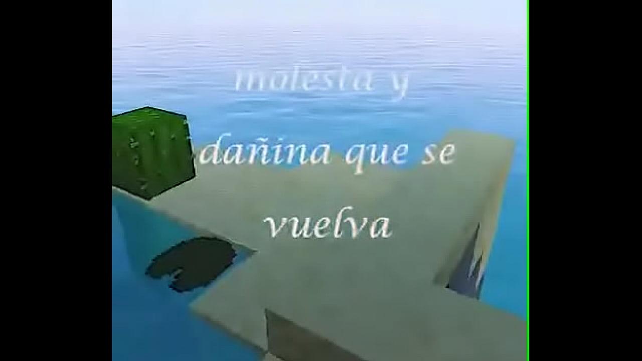 V&iacute;deo de verificaci&oacute;n