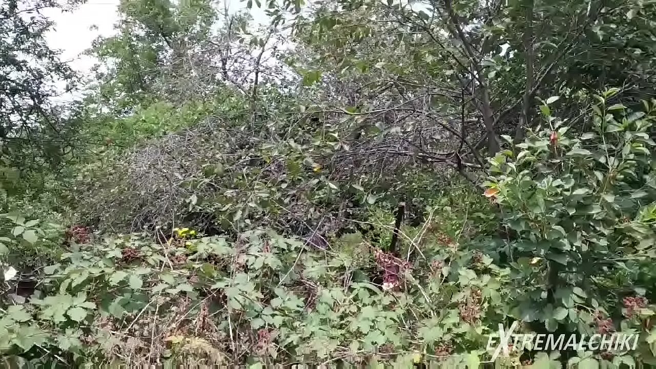 Local road masturbating