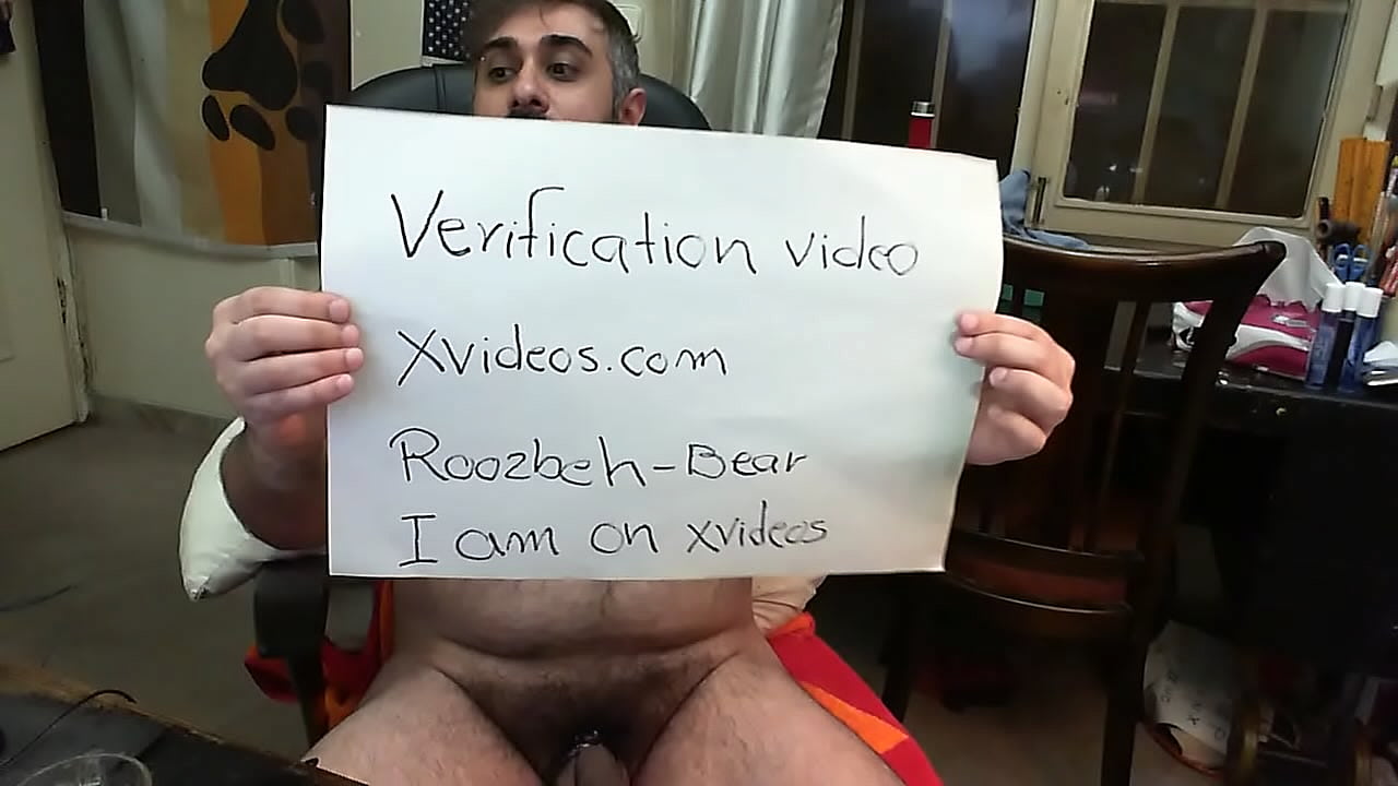 ROOZBEH-BEAR