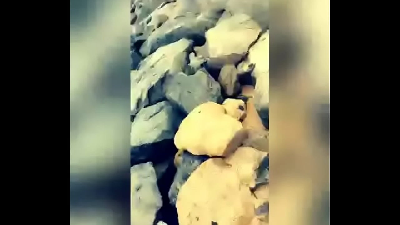 South side pouya boys