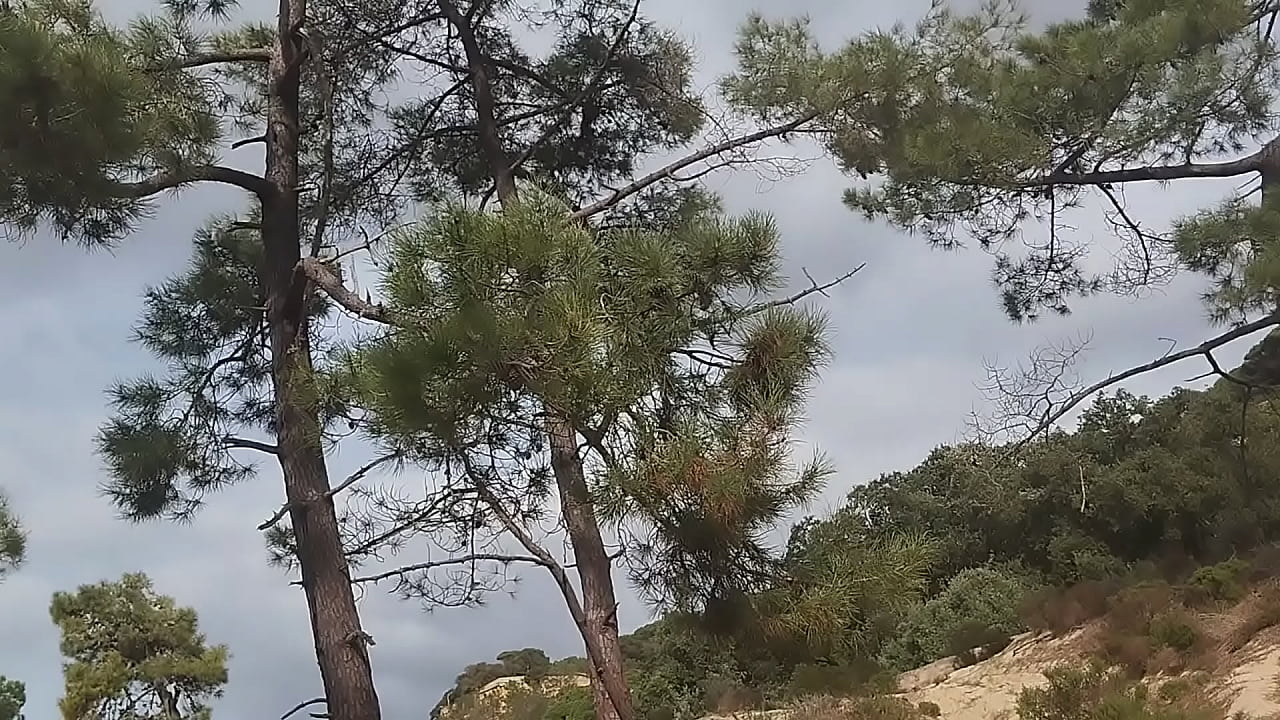 Guy of car spills a lot of milk on a trail near the sea