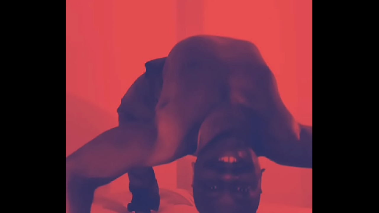 My dog stopped showing up and myself adding more heavy sounding voice effects to song I made with dog around once to give more heavy metal sound 2