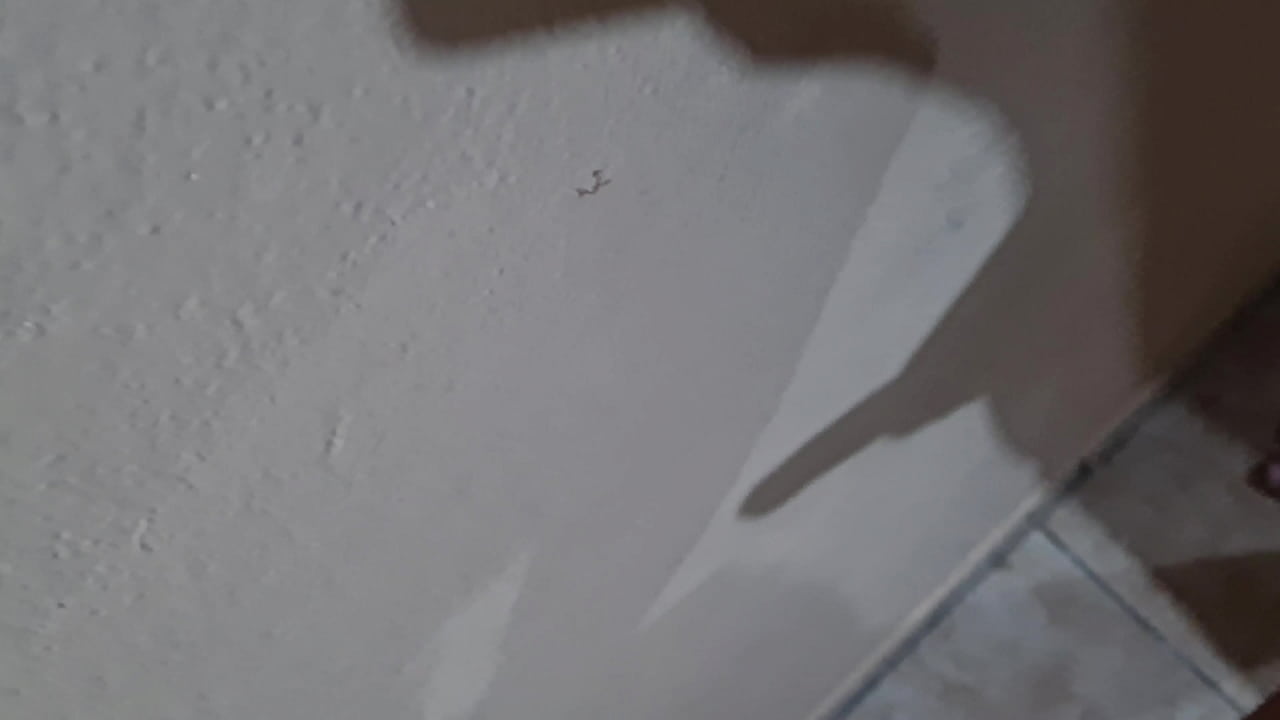 Costa Rica busco mujer para hacer videos porno