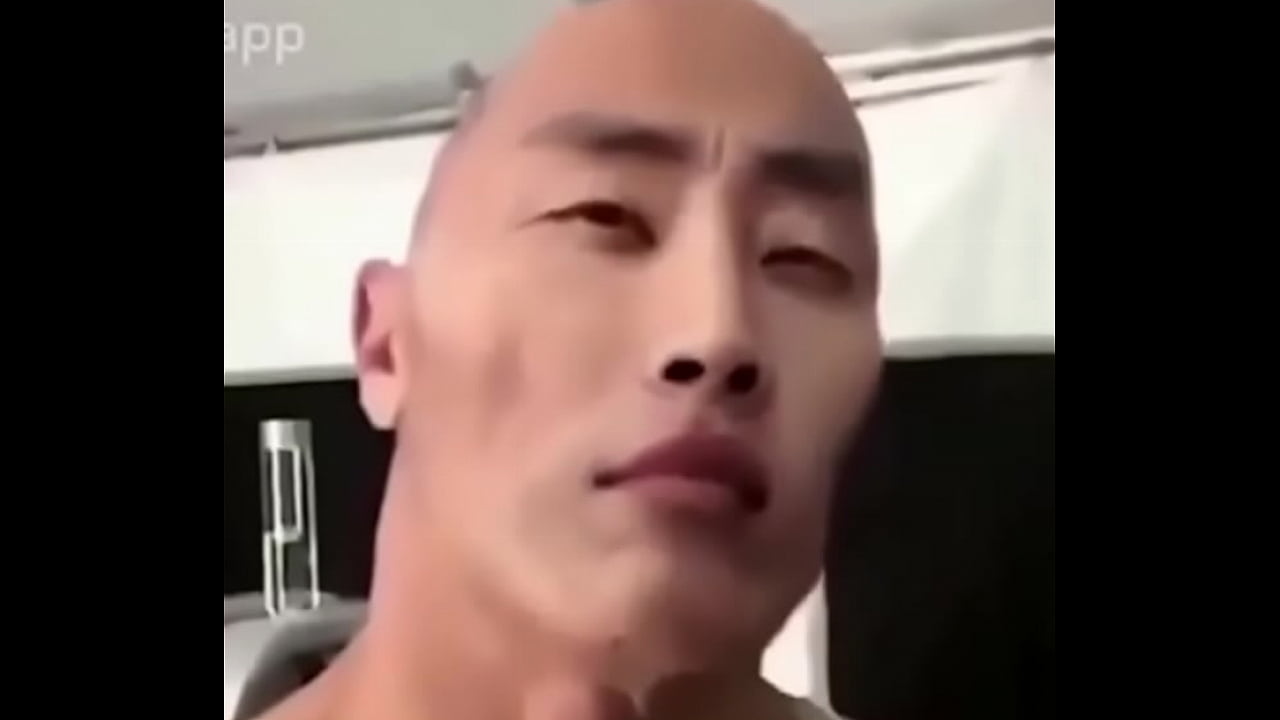 when the rock is  29 social credit