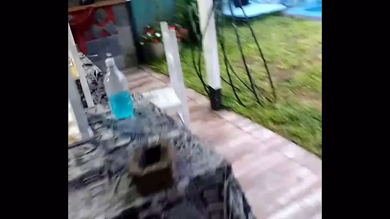 V&iacute;deo de verificaci&oacute;n