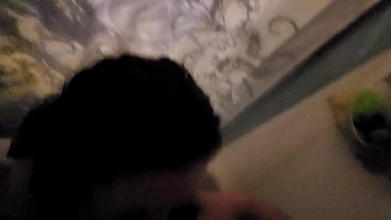 Pook takes some cock for cum it deepthroat style