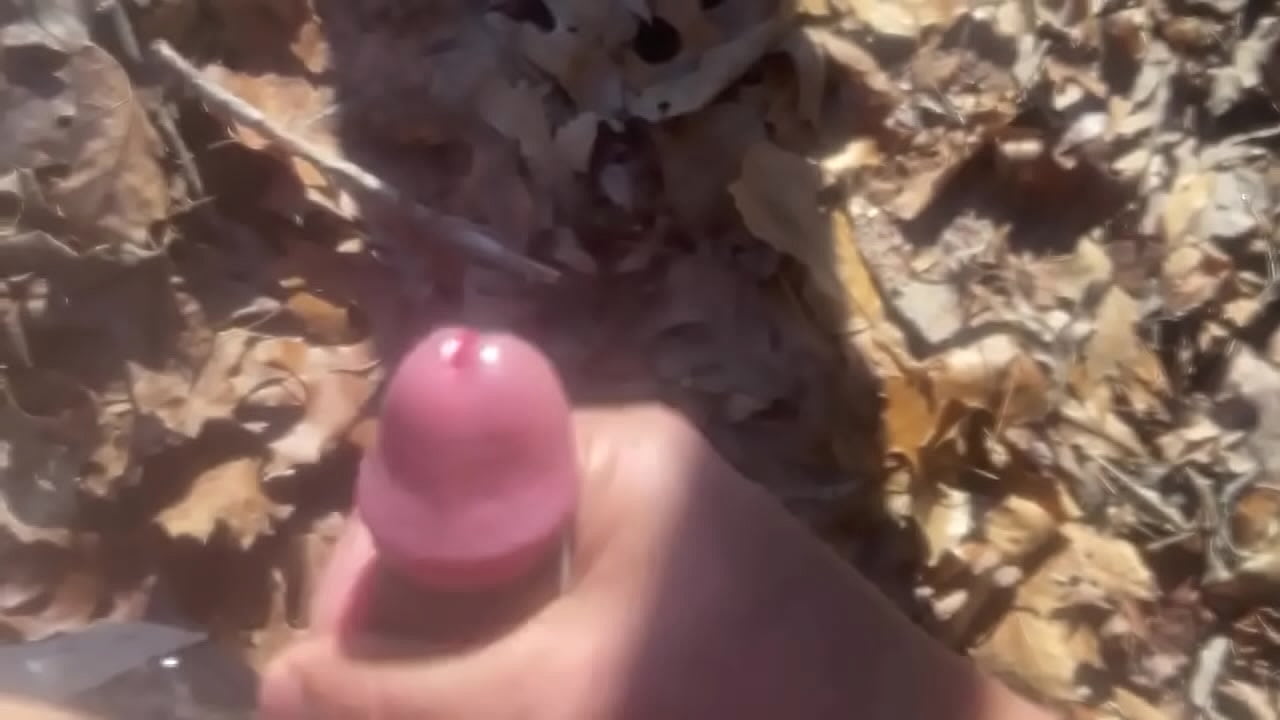 Having fun in the jungle