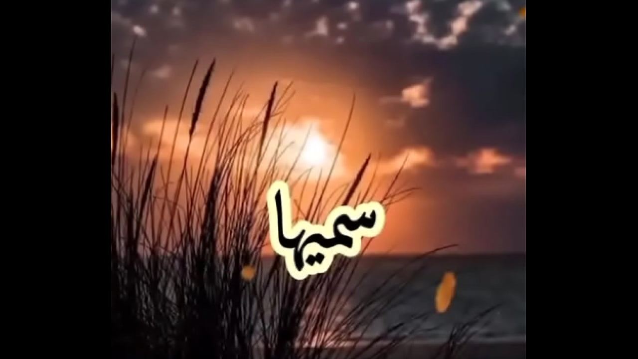 فيديو التحقق