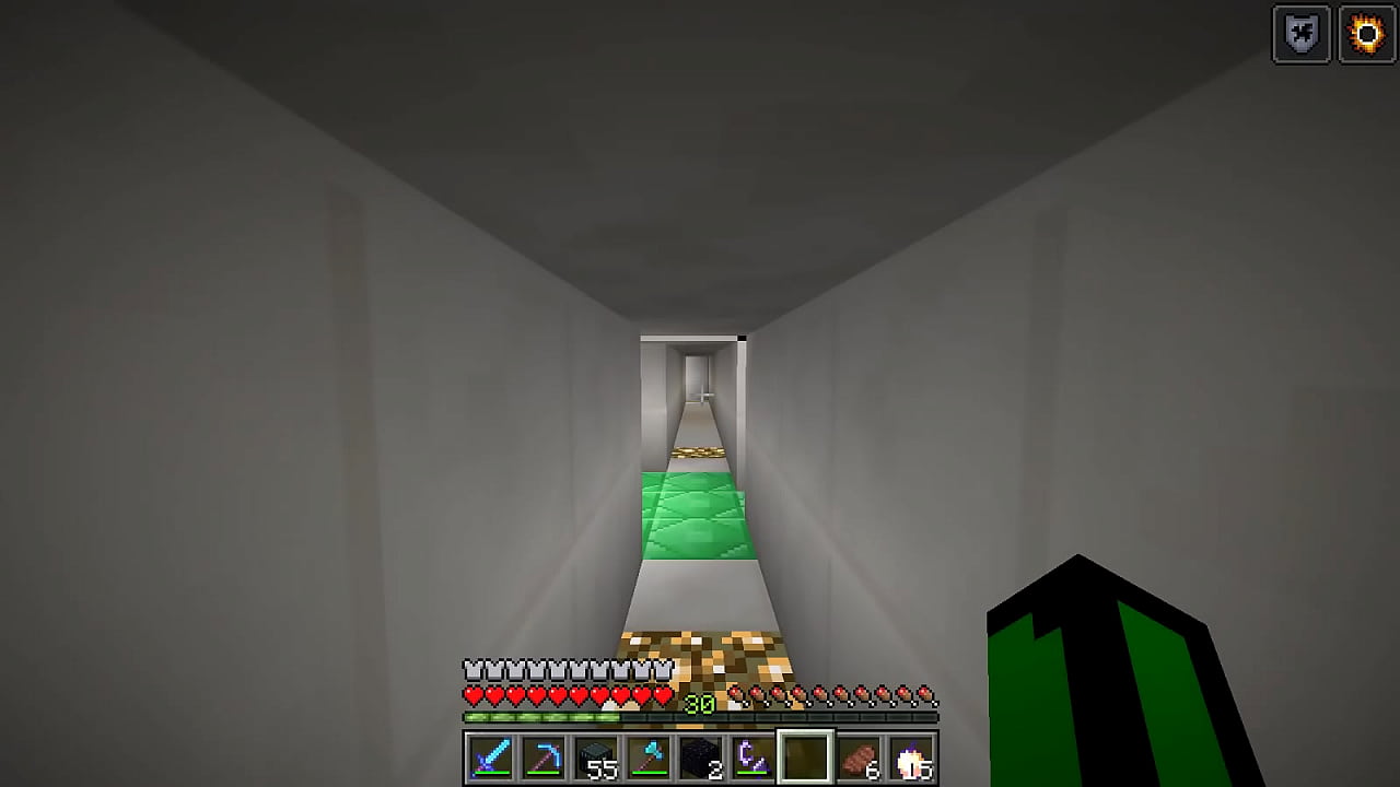 Minecraft L2x9 con mi amigo