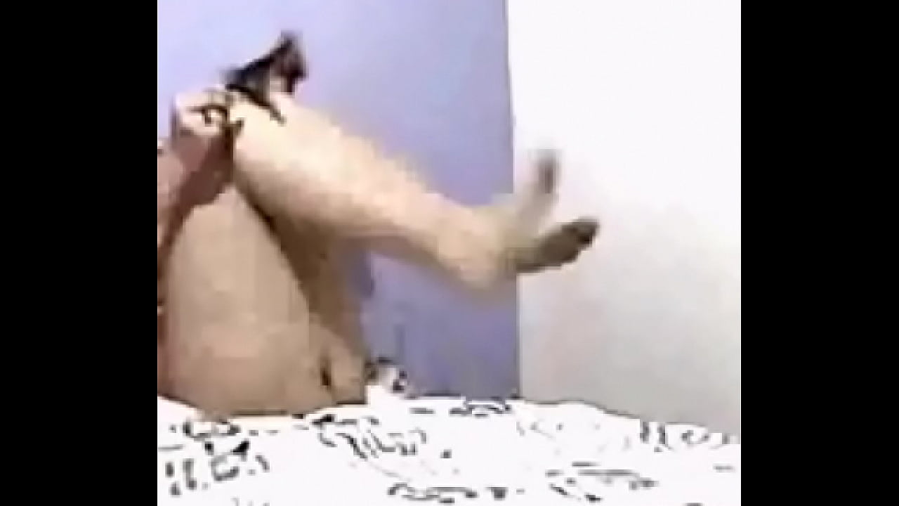 Sexo con mi ex enamorada