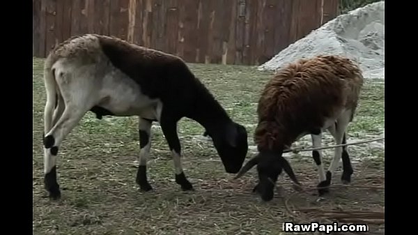 so soft every time I imagine her body I am so horny right now my number one wish in my life is now happened thankyou universe and thankyou world for all of this.