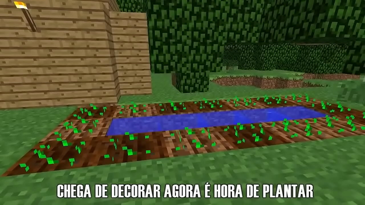 V&iacute;deo de verifica&ccedil;&atilde;o