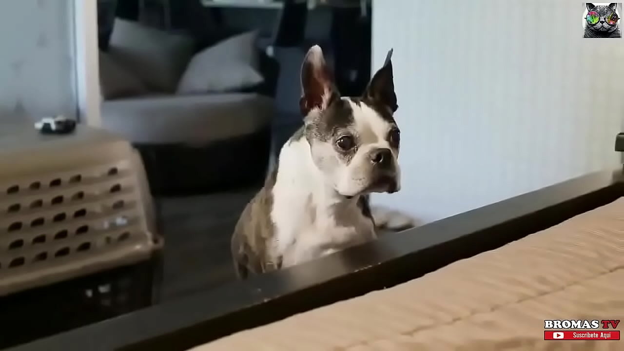 ODIO CUANDO PASA ESTO en la CAMA 21 21. POR QUE 21  3A 28