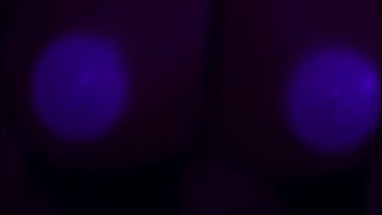 Red Demon Rides Delicious Cock!