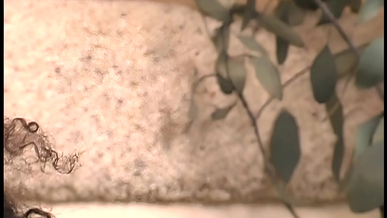 Fucking black big tits mom