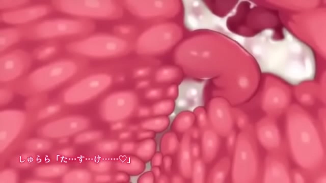 みこぱこ!しゅららちゃん もふもふロラリ巫女とのイチャラブセックスライフモーションコミック