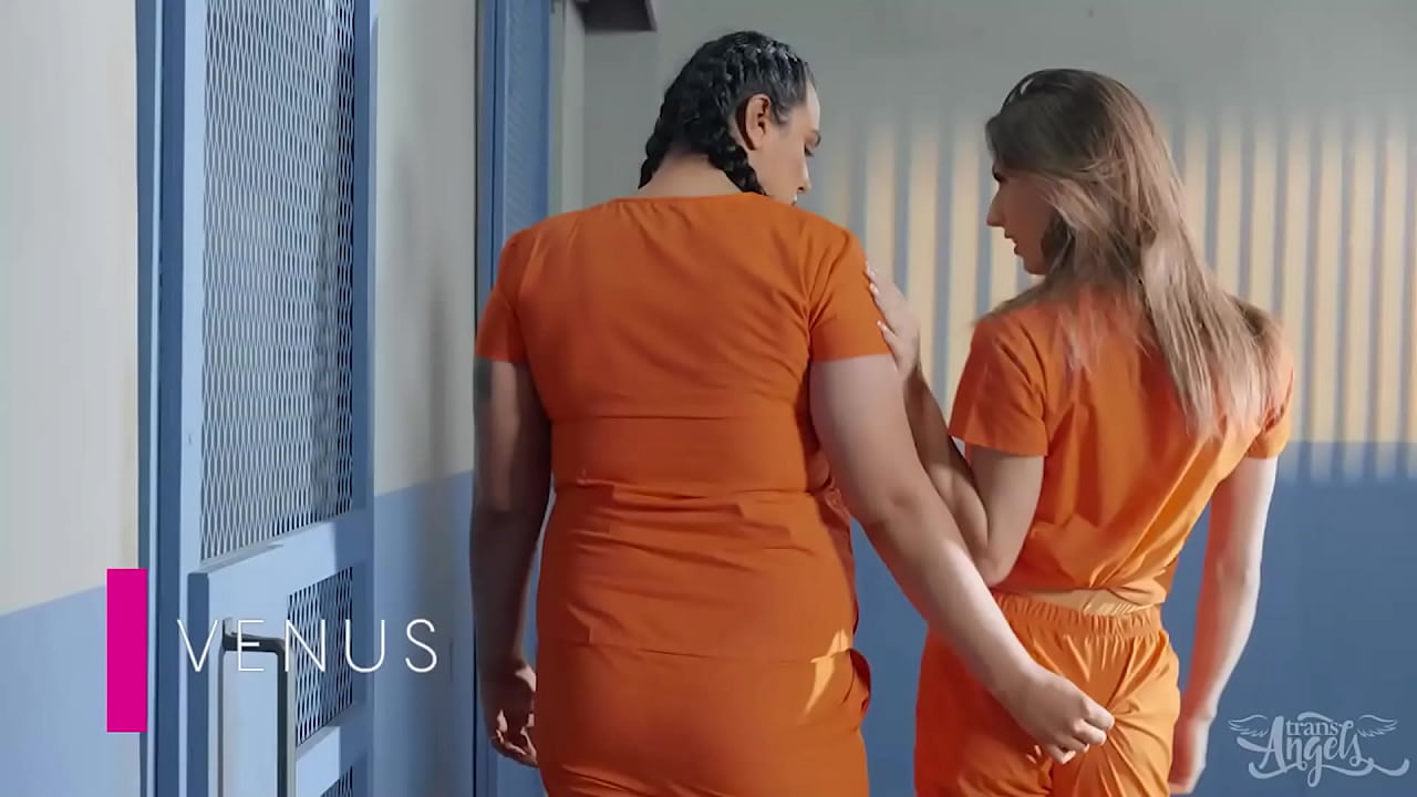 Locked Up / TransAngels