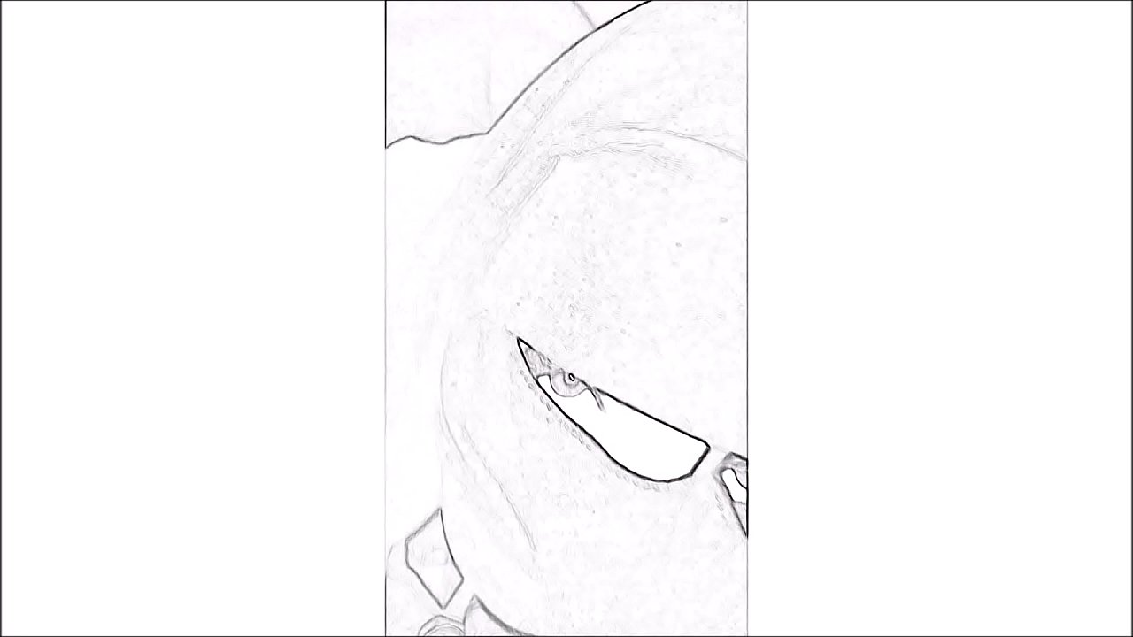 Muslim cartoon - sucks dick in niqab